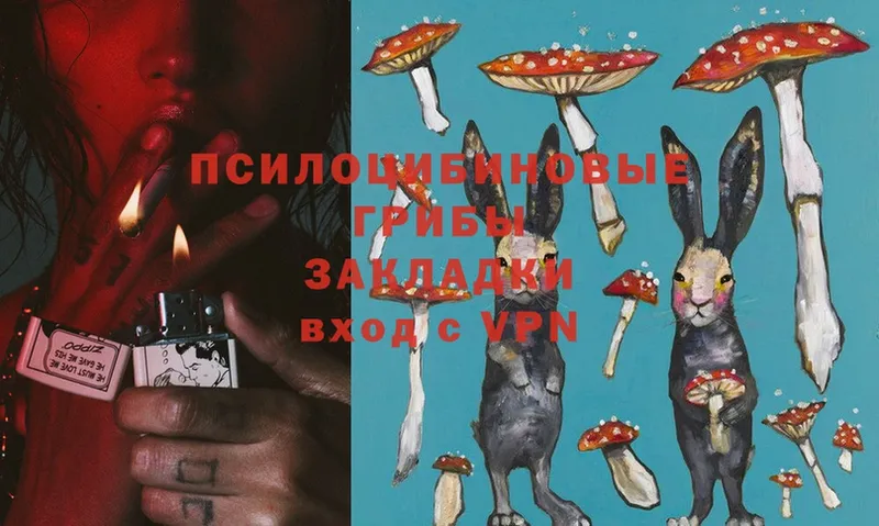 Псилоцибиновые грибы Magic Shrooms  цена наркотик  Уссурийск 